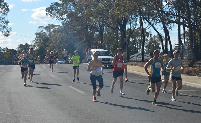 The pack not far behind